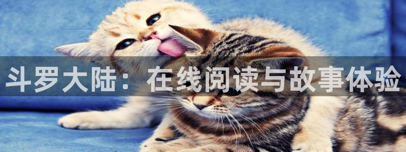 羞羞的铁拳免费观看51漫画画完整版：斗罗大陆：在线阅读与故事体验