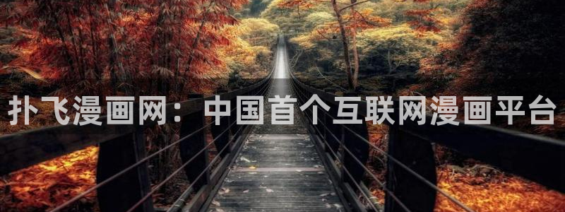 污51漫画网站免费：扑飞漫画网：中国首个互联网漫画平台