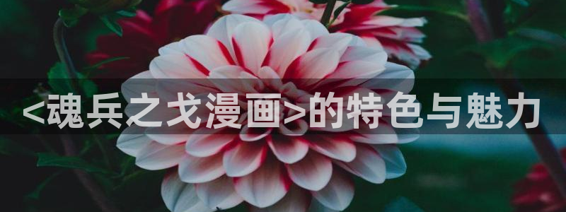 云龙风虎51漫画在线观看：<魂兵之戈漫画>的特色与魅力