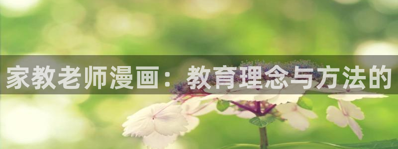 51漫画免费看无删减：家教老师漫画：教育理念与方法的