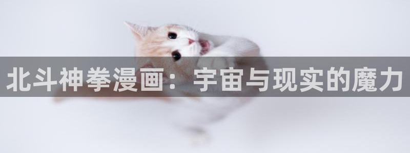 51漫画掠夺婚在线看：北斗神拳漫画：宇宙与现实的魔力